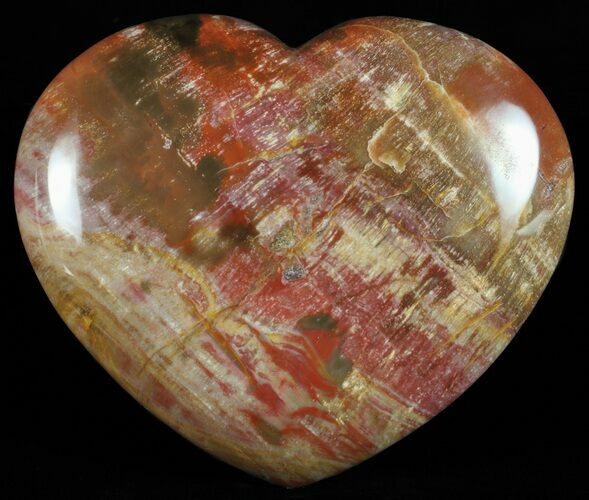 Colorful, Polished Petrified Wood Heart - Triassic #58529